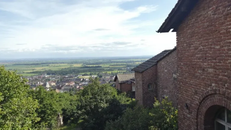 De ‘kaneel-truc’: Hoe dit keukenkruid je planten redt van dodelijke schimmels